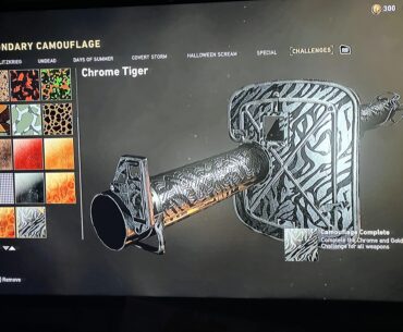 Two month grind but glad it’s over with (Chrome Tiger)