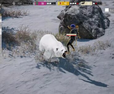 A Bear Attack in the 8th circle of PVS Last Chance Round 4/6