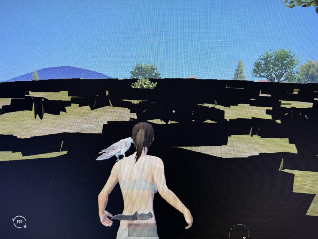 Does anyone know the fix to this issue