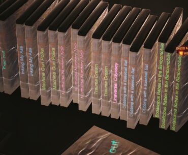 You guys ever read the BD titles in Lina Malina’s home?