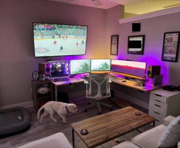 The Lab and the lab