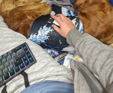 When your dog wants to be right next you you, but you still wanna game..