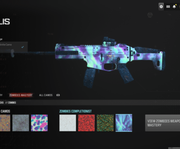Invalid Camouflage - Camouflage has been reset.