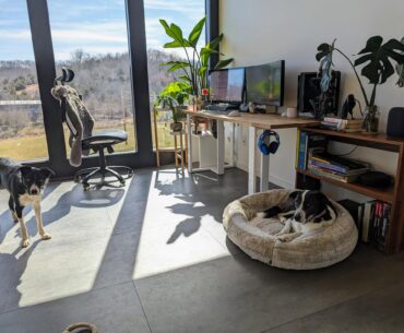 WFH Productivity/Gaming setup