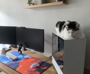 My cat matches my PC :)