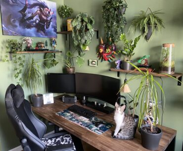 Cat approved