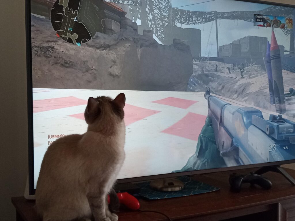 My cat enjoys watching my teammates run around on the radar