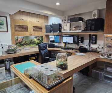 Revamped my Home Office Battlestation