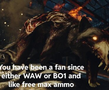 What your favorite Cod Zombies enemy says about you