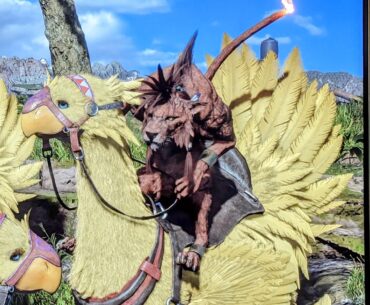 Red XIII on a chocobo is a perfect 5/7