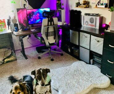 My new office