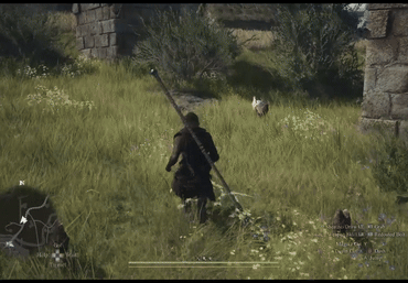 Wasn't there supposed an angry flock of chickens that come out to attack me???
