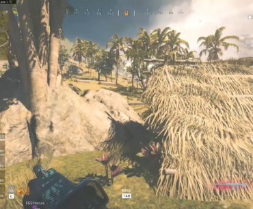 Some of My Favorite Snipes from Warzone1