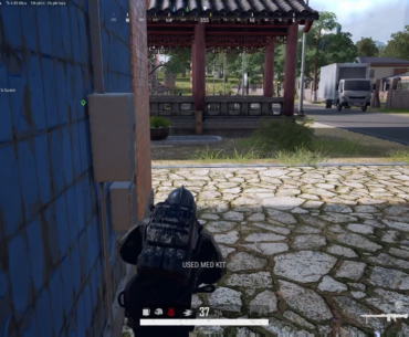 When stupidity pays off