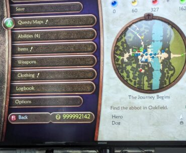 I'm RICH! (Fable 2)