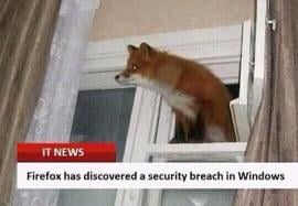 Damn windows sucks even firefox gets out