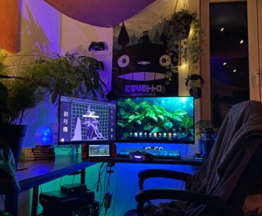 Jungle Cave