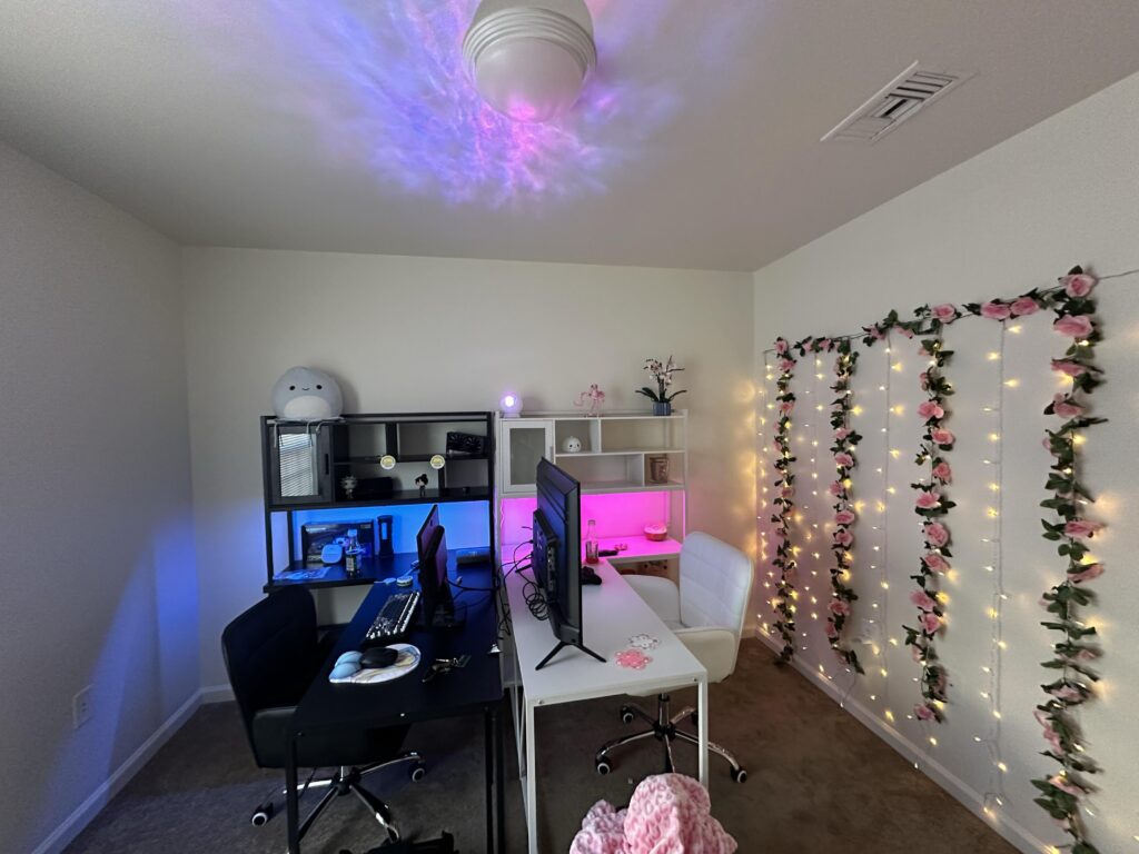 Me and my wife’s gaming room