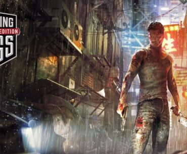 It's been 11 years since Sleeping Dogs has been released. It's truly lamentable that it will never receive a sequel it deserves..