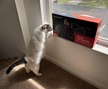Can anyone tell me if this cat is compatible with this card?