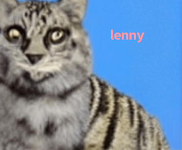 lenny