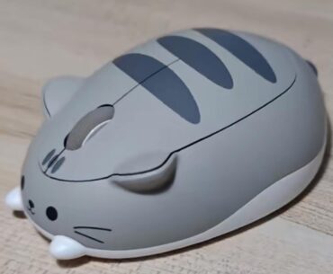 What do you call this device?