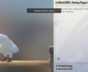 Words in Pigeon message
