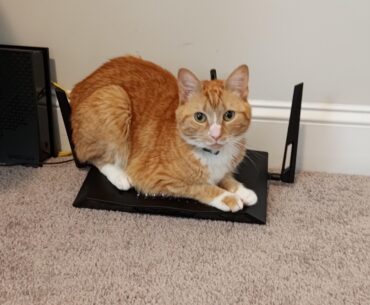 Is this ethernet cat sufficient for gaming?