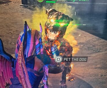 What a name....McToughy! 🐕