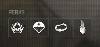 Are the 3rd and 4th perks on the image available in any way in warzone?
