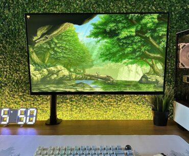 Forest came to life