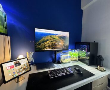 What do you guys think?