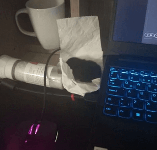 Confirmed: Gaming laptops can get hot enough on the slightest load to raise chicken