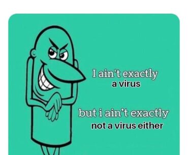 Some comedy for y'all taking breaks from building