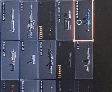 Which gun should i chose(i allready have the peacekeeper but the masterclass version)