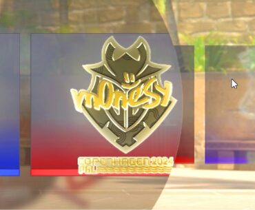 COPENHAGEN OPENING GONE WRONG (CS2 Investing 2024) Counter Strike 2