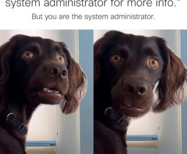 Meta