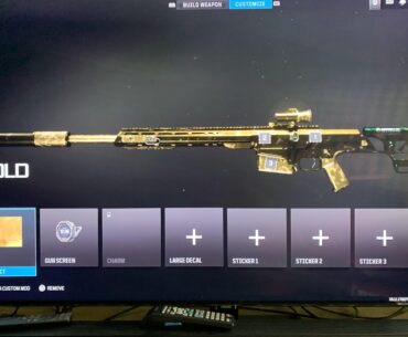 Playing since May of Verdansk, and just got my 1st gold camo