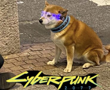 The future is now