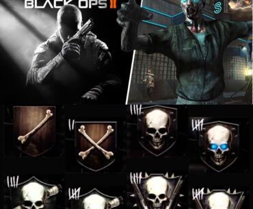 What’s y’all’s honest opinion’s on BO2 zombie rank system?