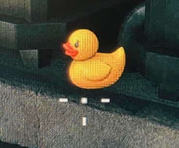 What the duck is with this game?