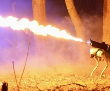 You can now buy a flame-throwing robot dog for under $10,000