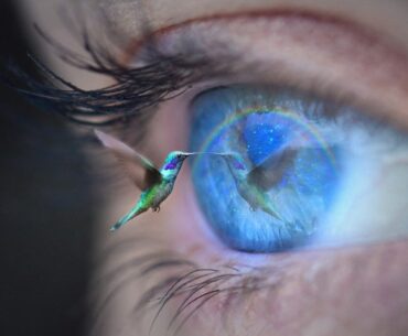 Scientists discover speed of visual perception ranges widely in humans