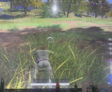 Has anyone else ever played with this disclaimer bushwookie dude? Literally picks up no weapons and crawls the entire friggin game!!!