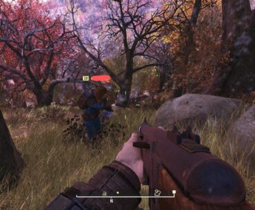 I convinced my wife to play Fallout with me after we watched the show. She's picked every flower we've come across because they "might be useful later."