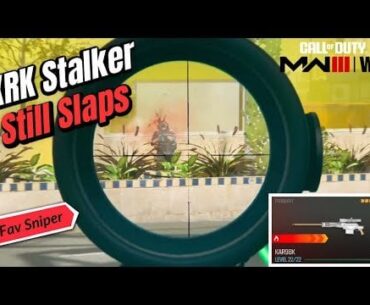 XRK Stalker Still Slaps - Warzone Builds