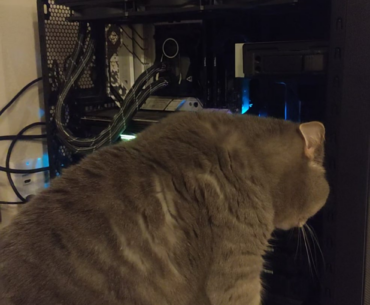 I was told adjusting the fan curve might help with my temps. Am I doing it right?