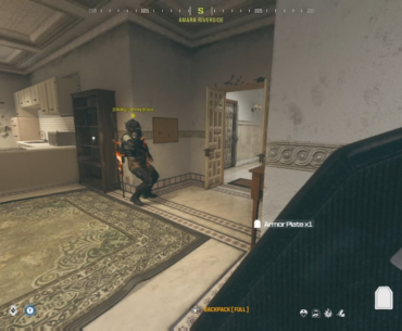Plate and weapon glitch