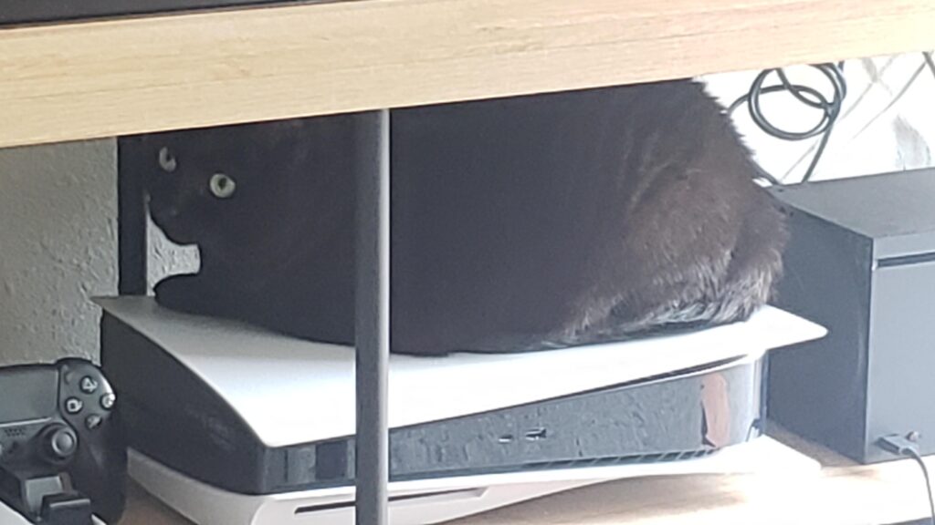 Just a fat PS 5