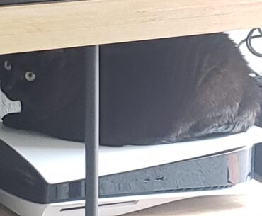 Just a fat PS 5